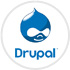 Drupal Developers